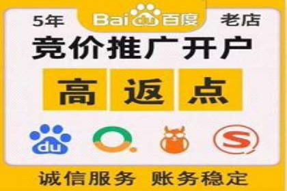 成功SEM服务案例分析报告